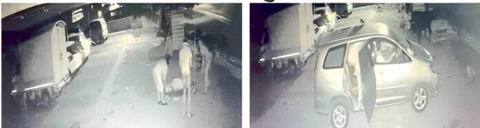 Untitled-2024-12-14T102752.829-7 (1)