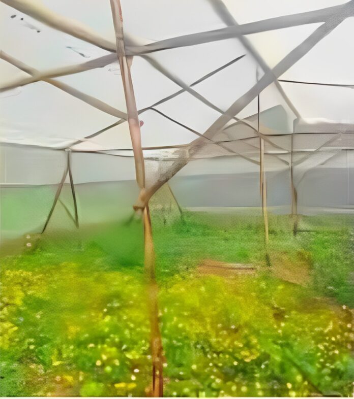 Untitled-2024-12-20T135933.220-7 (1)