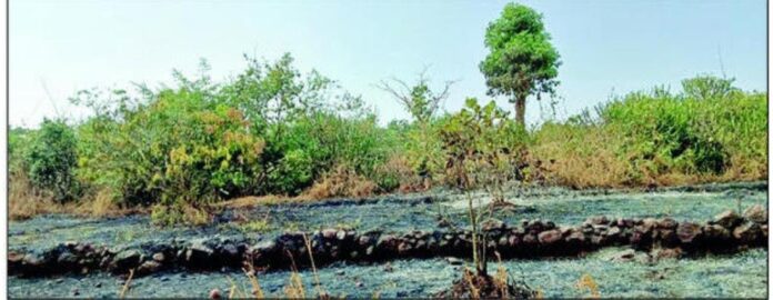 Untitled - 2024-12-24T141237.250