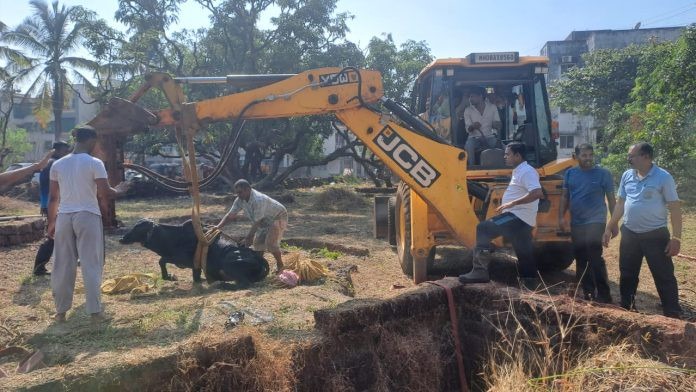 d788b8d449b5ebb3c697317b3fdb1252