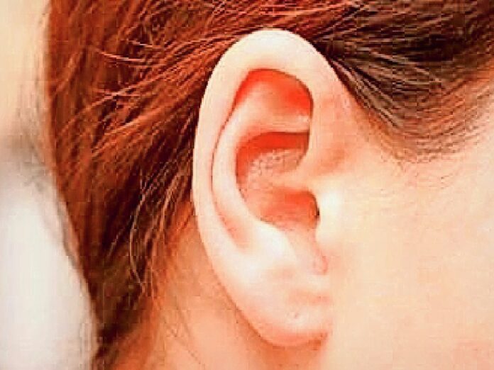 orig_new-project-31_1664143519