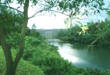Koyna Water Release Vashishti River: कोयनेच्या पाण्याने ‘वाशिष्ठी’ला बळ; जलविद्युत प्रकल्पातून अवजल सोडल्यास चिपळूणचा पाणीप्रश्न सुटण्यास मदत