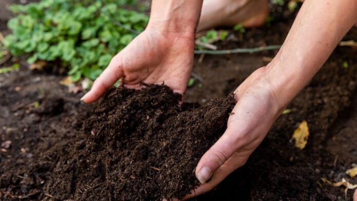 agrowon2022-07efab0b8e-5e87-4f8e