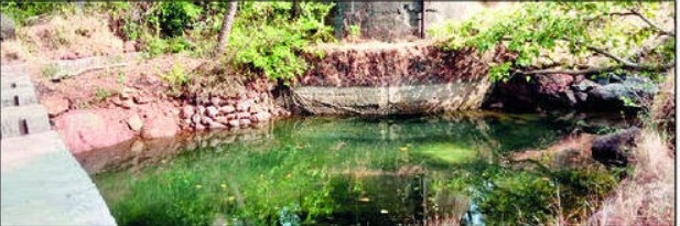 7975f452-1bb5-461e-a6c0-1e291e7fbb01