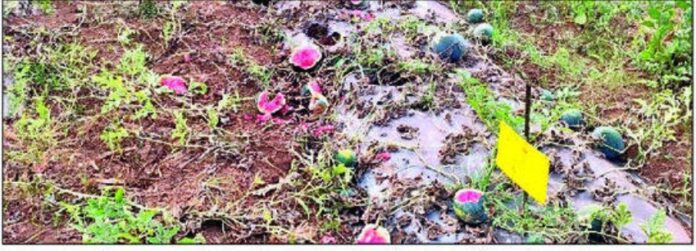 79bfe664-260e-4f32-ad3b-3a645aa49256