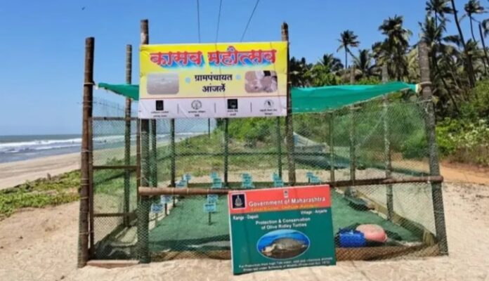 Screenshot_20250217_180448_Chrome