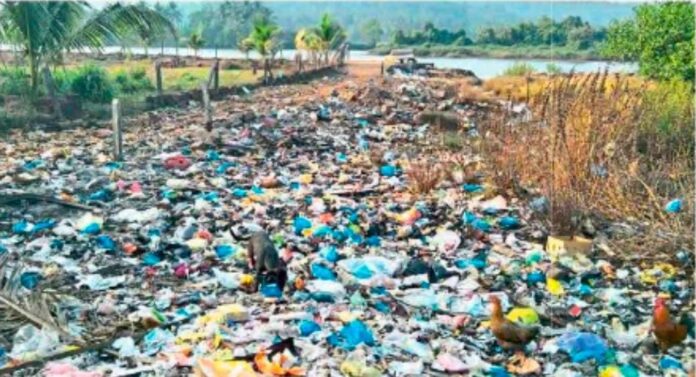 Untitled - 2025-02-15T123559.156