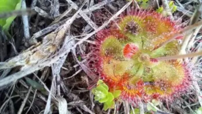 Untitled design - 2025-02-18T130050.305