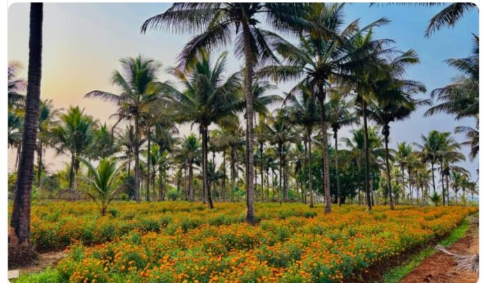 268792f5-8dbd-4608-813d-7654c2d9754b