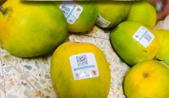 Untitled-2025-01-01T170105.897