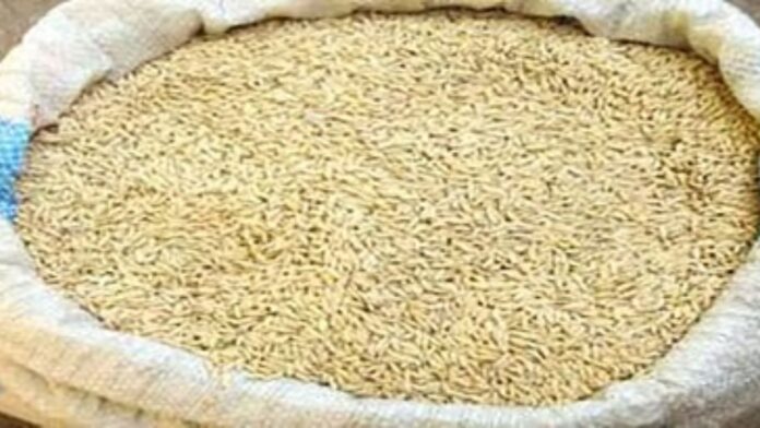 Untitled design - 2025-03-03T174044.637