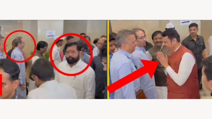 Untitled design - 2025-03-10T172755.312