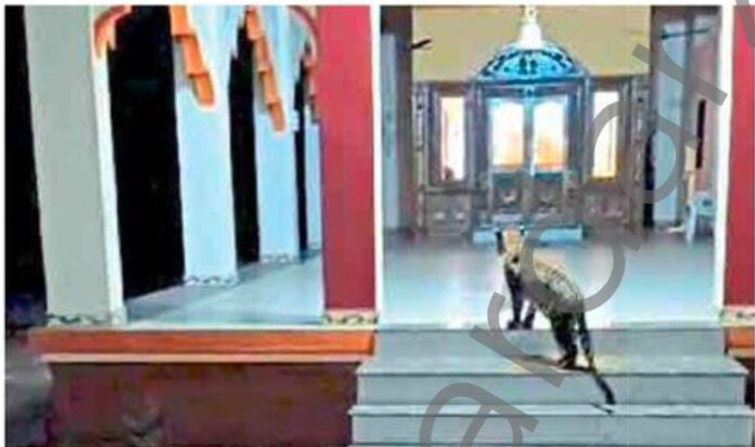 a10c19c6-d0ed-4e7e-a39b-747de9c22e41