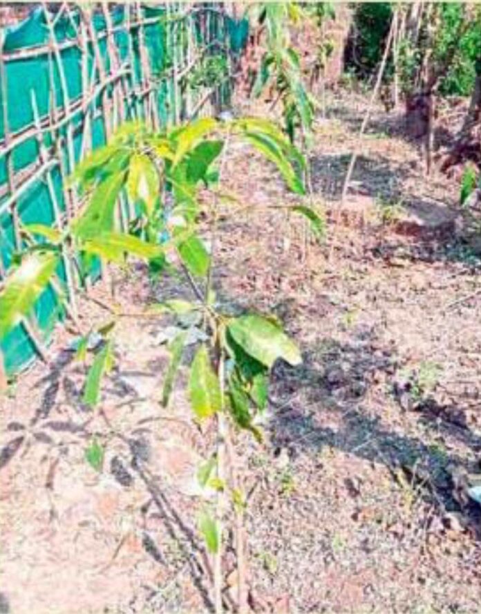 ec193bad-3679-40a7-8dd8-242399b00e61