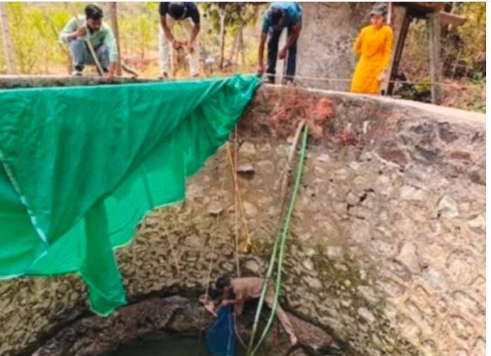 13a0c4fc-7a43-45c8-b0dd-b4a555b5d408