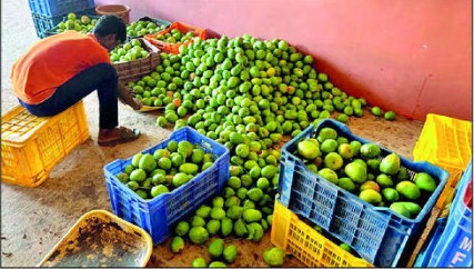 27f52e65-d60b-4eee-9657-aff0c49d66d2