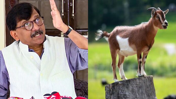 Untitled design - 2025-04-12T112501.996