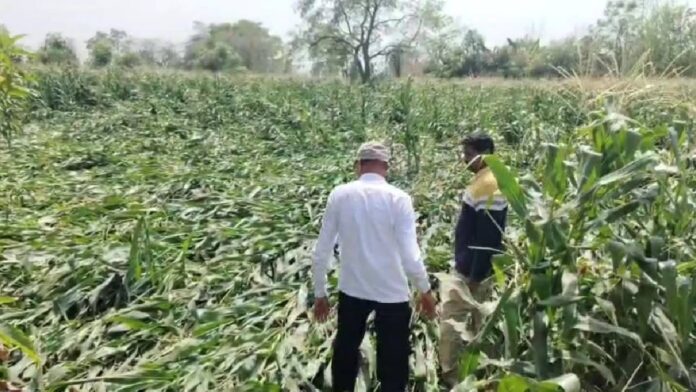 a98164829837bb3ee455b33be86b2085