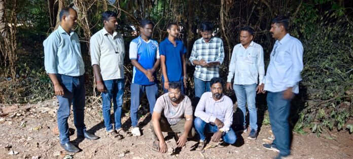 c9da10f6-fc5d-42c7-b34f-c426ef309bfa