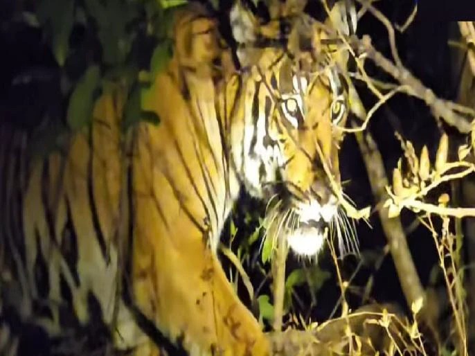 e5c04366494b23f3f1de72494d615178 (1)