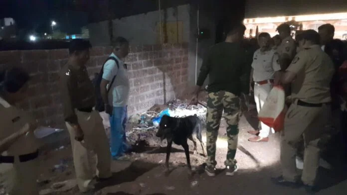 image_editor_output_image57964360-1745134342250-696x392