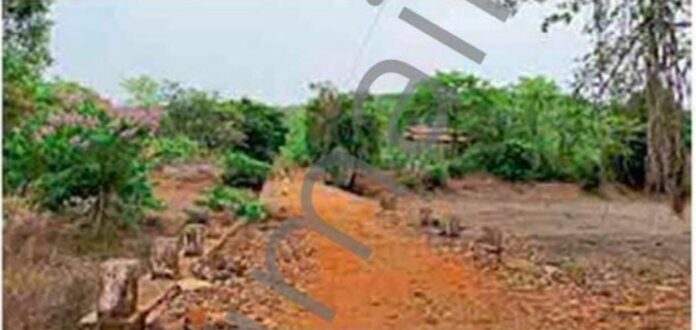 2979e8ed-a8e7-42d6-8a83-7e1217497aaf