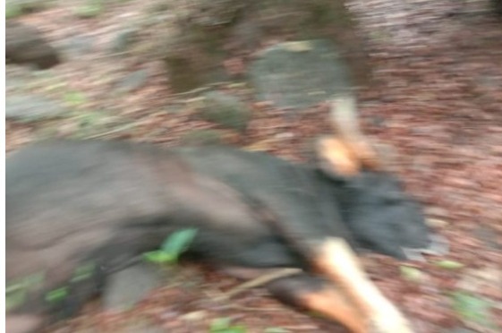 8eb675d5-8593-4534-9249-8aeba6da0975