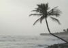 Weather Update Monsoon: अर्धा जून उलटला तरी महाराष्ट्रात ‘मान्सून’ ठप्प; ‘अल निनो’च्या प्रभावामुळे पाऊस लांबणीवर