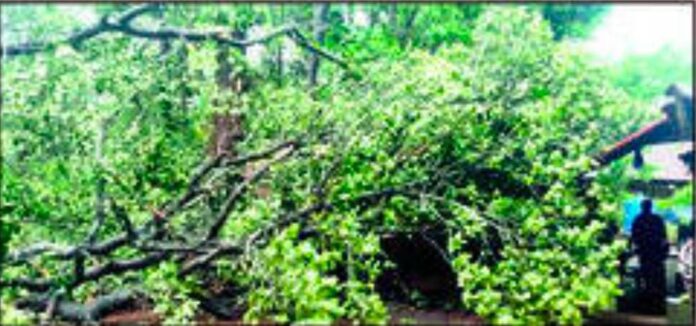 Untitled - 2025-05-30T124458.851