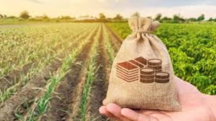 Untitled design - 2025-05-21T143433.506