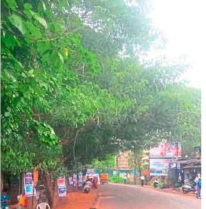 cbc638d9-a91a-4edc-83f6-9e102f4f60d1