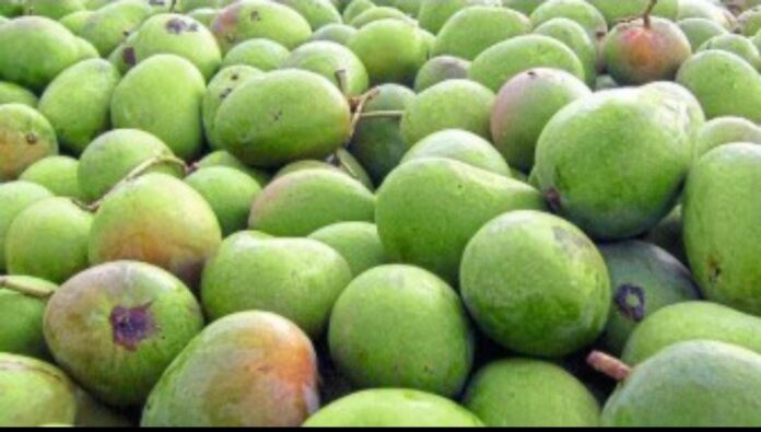 dd7f95e6-473e-4ef8-9234-01a1fc76aa3f