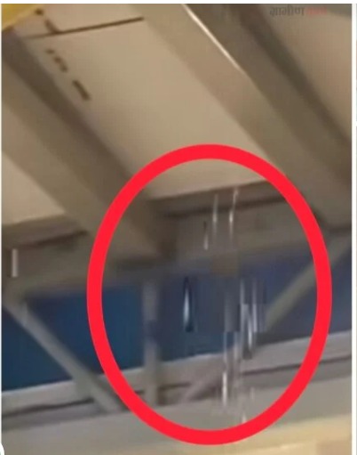 e784bb6b-df7a-47b2-bccc-246f0e85afd2