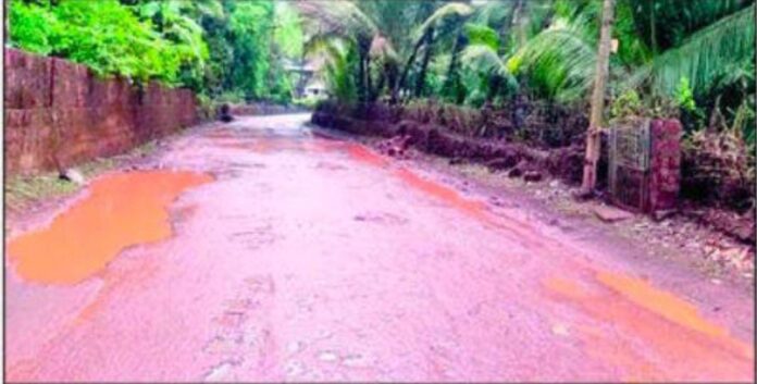 e8425c39-1f14-4cad-834b-238642251310