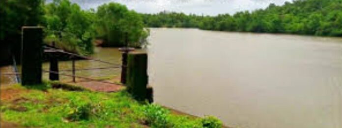 f3a18d12-c0a6-423e-8739-eae33b872991