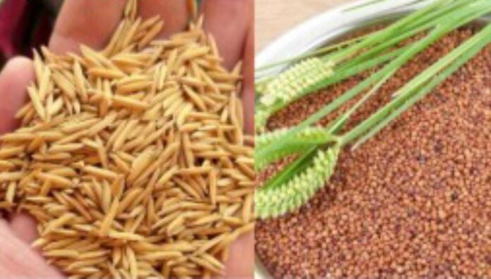 f9976121-3f96-4a46-b424-0c475241ea70