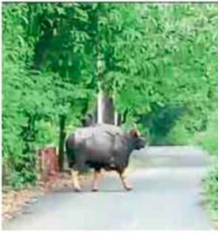 fbb6a2a6-dc9b-4c62-b9a5-82b3d4db4452