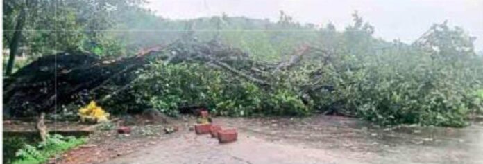 1673dc51-75b6-4477-9bc4-320a4c86a8df