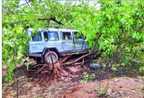 47c3acb2-c4c8-4668-b3ed-629ed474d5b2