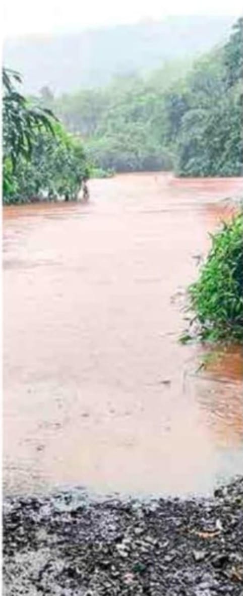 782b09db-36f4-4c0c-9902-f07e8b5571ee