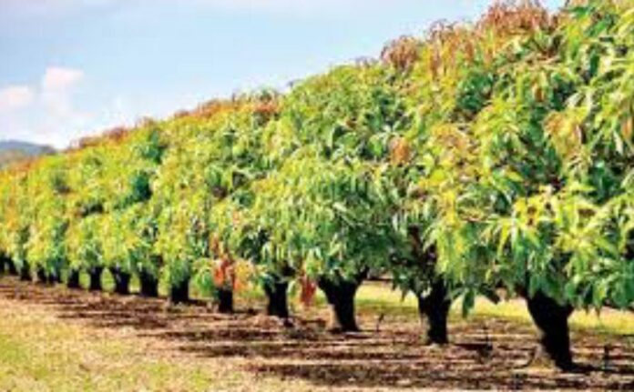 7d512d66-29eb-4ea8-8bd8-111d2d5ceca2