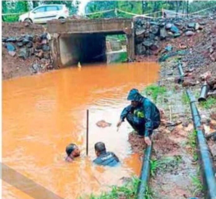 86f0f096-96c9-4494-9885-8c4137b67a52