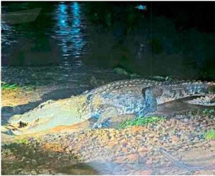 875ee5dd-e058-4872-a462-d4b12e6ebf12