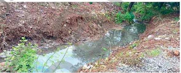 95d7955d-b74c-4c05-8099-59113092dfe2