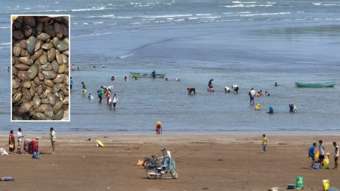 Untitled - 2025-06-03T112810.727