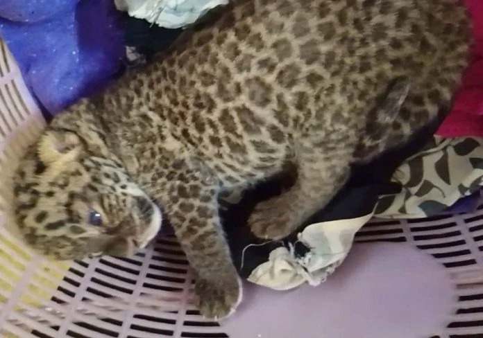 b675730af961b3ceec0f6772ccc9bb69 (1)