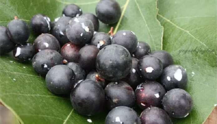 big_57448_साद-निसर्गाची