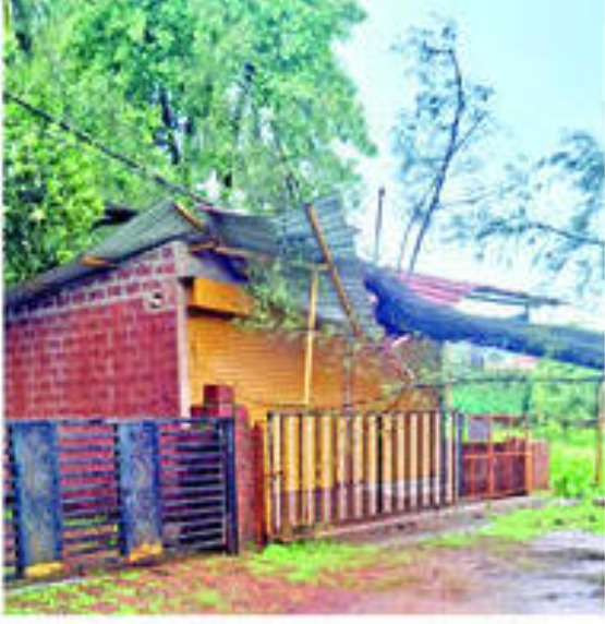 c7efaeb4-82b3-4fbc-a370-6b3d0ccabdf1