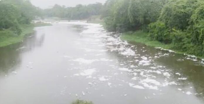 d5946185-7c66-48df-9276-5078c4e57eb1