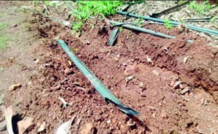 ea575f43-ffd7-4493-ae11-09bcf9a93fa3